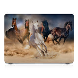 MAC-ASORTED01-FIVERUNNINGHORSE